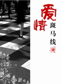 狠狠干婷婷